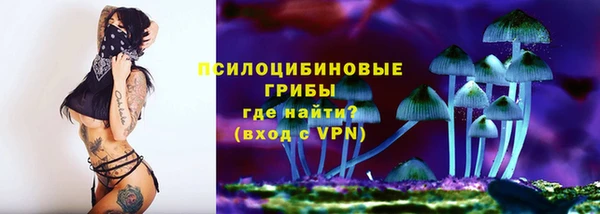 spice Бабаево