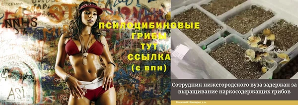 круглые Богородицк