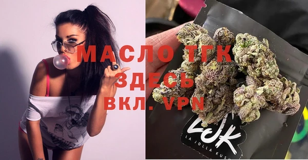 молекула духа Бородино