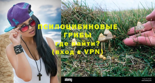 герыч Белая Холуница